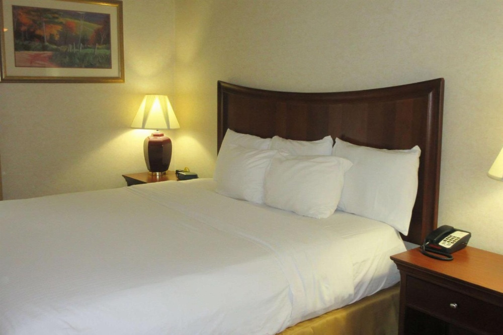 Quality Inn & Suites Main image